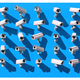 Illustration for article titled Thinking About Purchasing A Video Surveillance System?